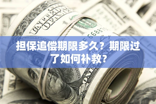 济南担保追偿期限多久？期限过了如何补救？