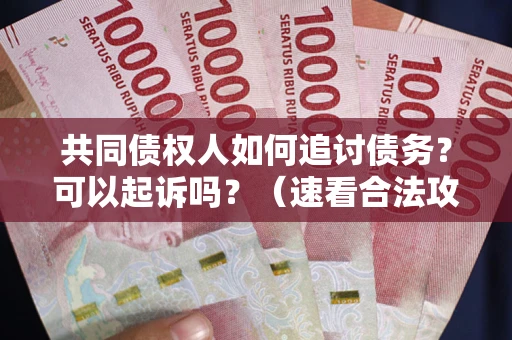 济南共同债权人如何追讨债务？可以起诉吗？（速看合法攻略）