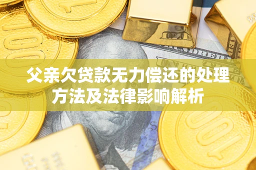 济南父亲欠贷款无力偿还的处理方法及法律影响解析
